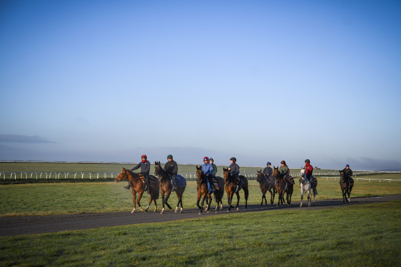 A group of horse riders in the curragh training grounds kildare