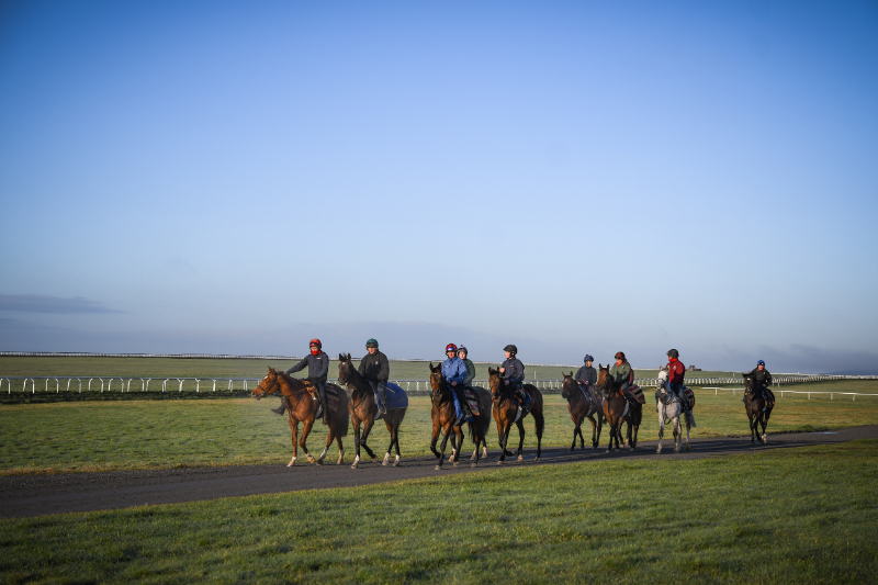 800x533-thecurraghtraininggrounds-kildare.jpg A group of horse riders in the curragh training grounds kildare