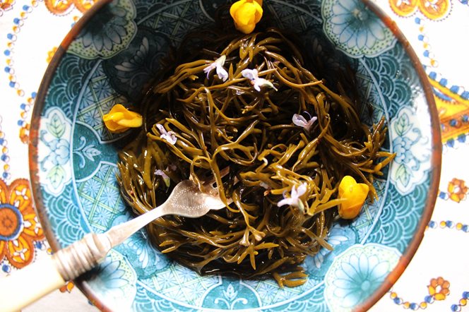 Atlantic-Irish-Seaweed.jpg