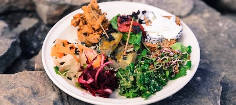 A colourful selection of edible plants on a white plate placed on rocks