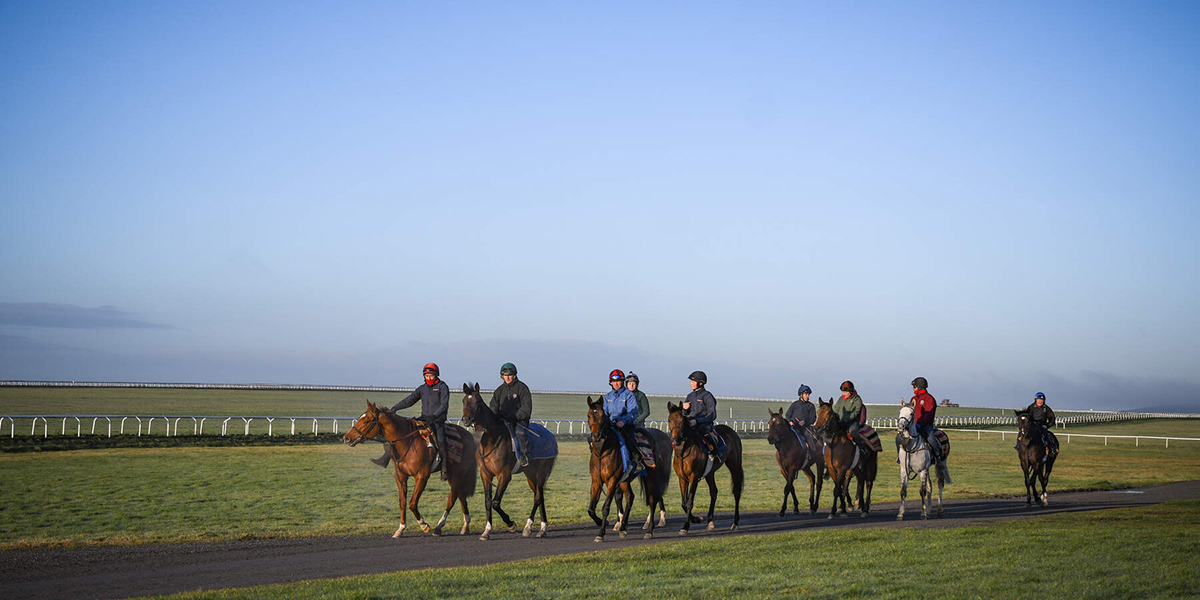 Group of jockeys on horses at a racecourse