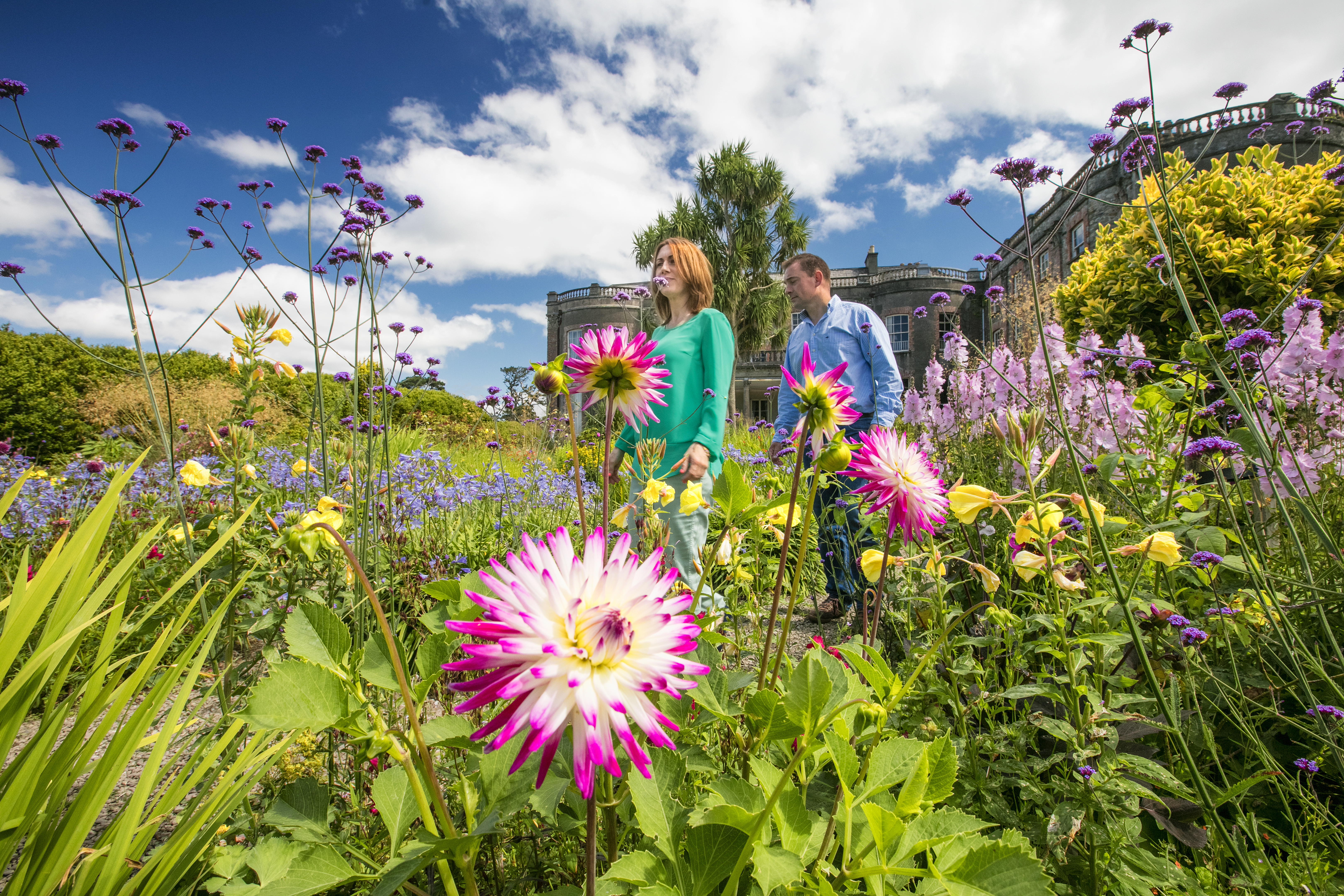 Wild Flower and Tree Planting