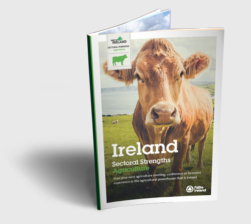 Your building blocks for success