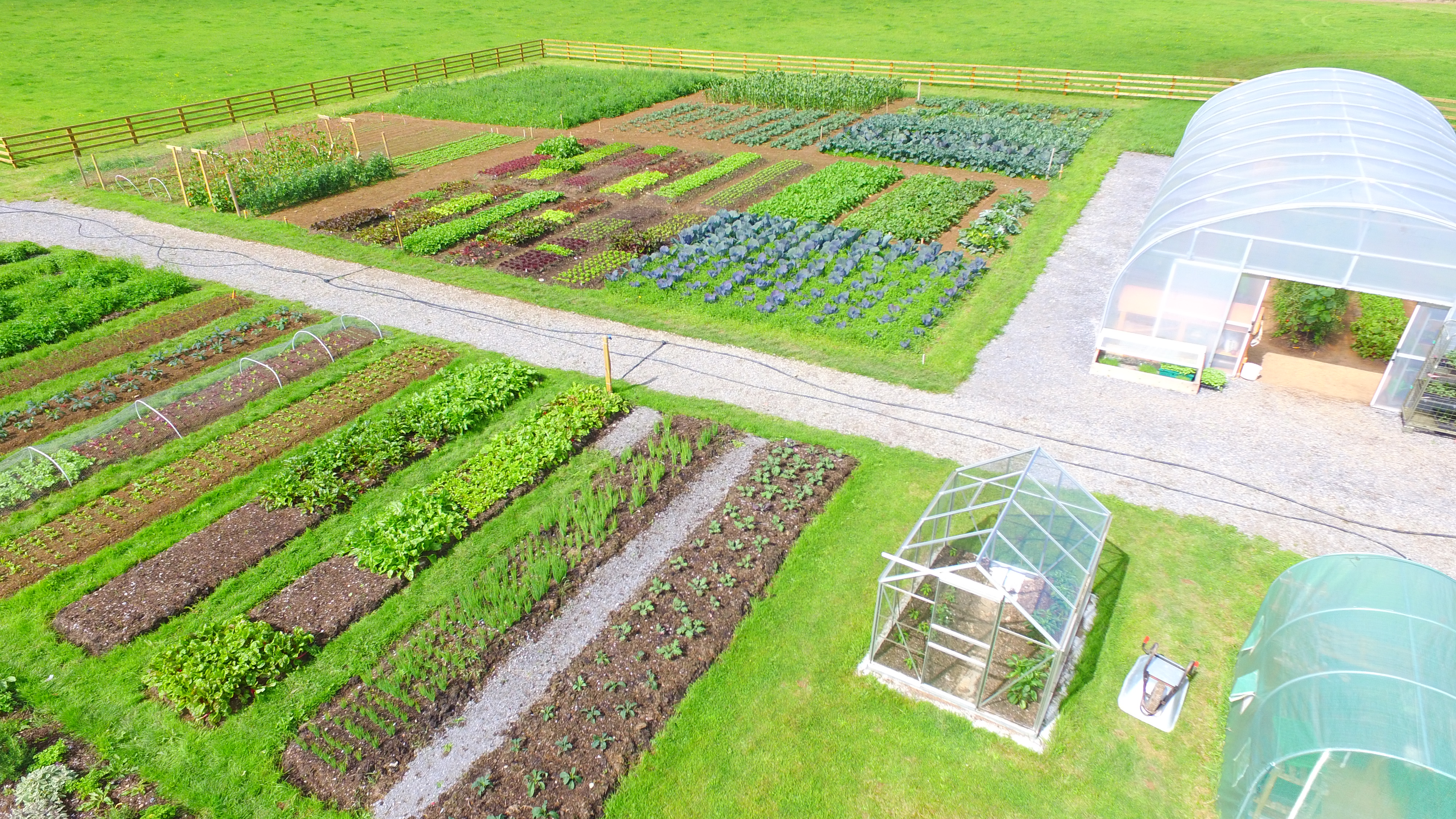 Vegtable patches and polytunnels