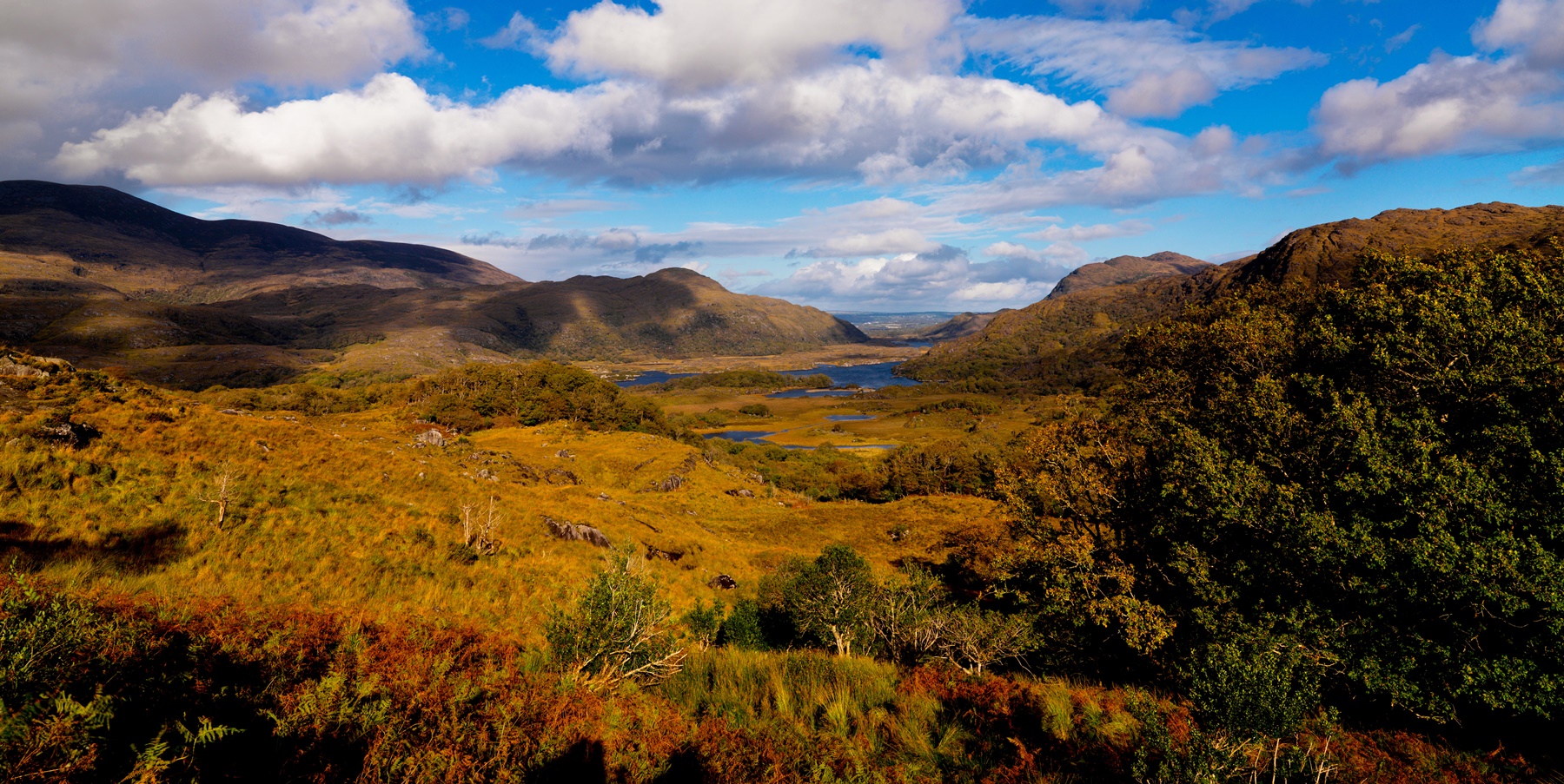 The lakes of Killarney