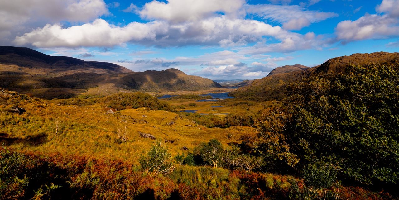 The lakes of Killarney