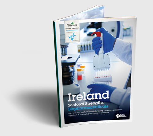 Your building blocks for success