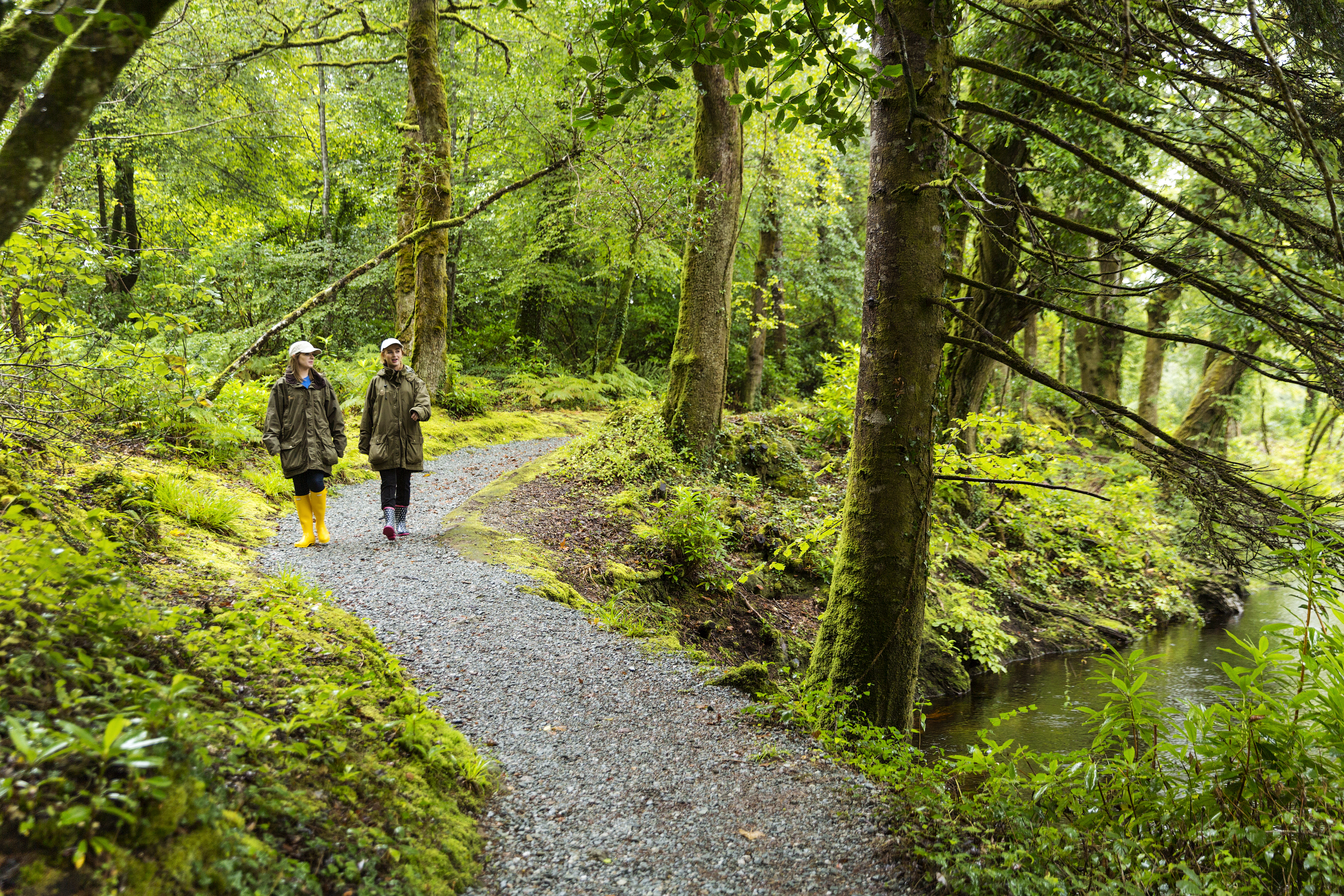 Clean-up and conservation group – Cork Nature Network